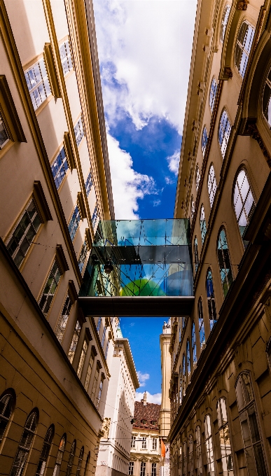 Arquitectura ventana vaso edificio