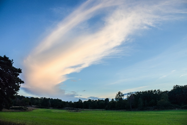 Landscape nature grass horizon Photo