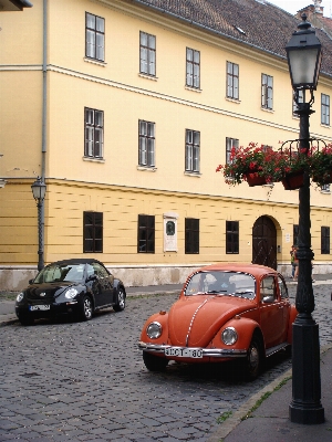 Straße auto volkswagen
 fahrzeug Foto