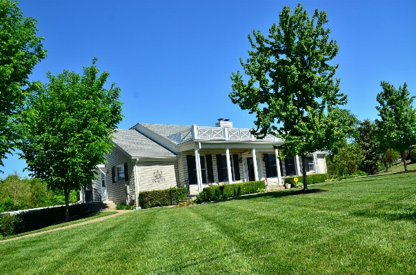 Tree grass architecture farm Photo