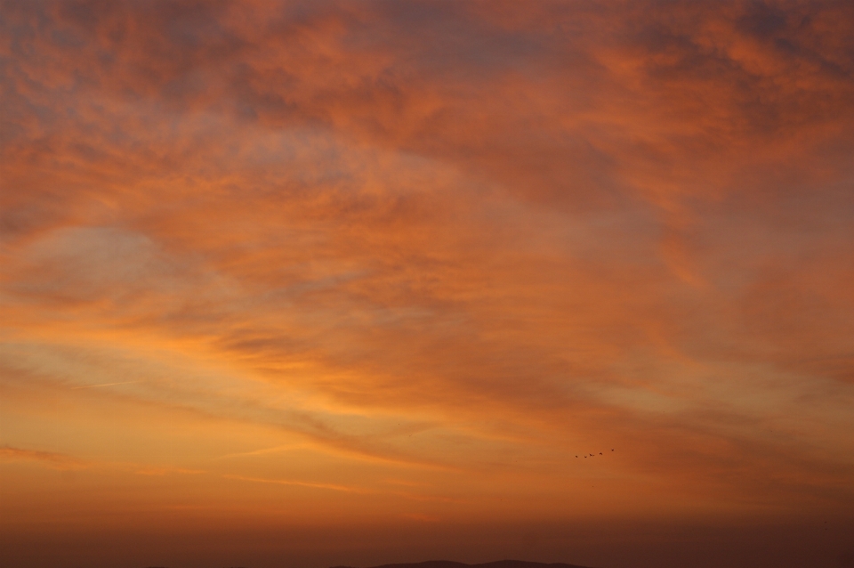 Nature horizon cloud sky