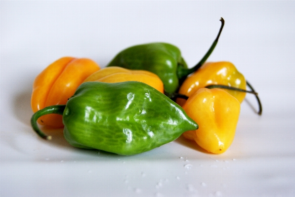 Foto Planta alimento producir verdura