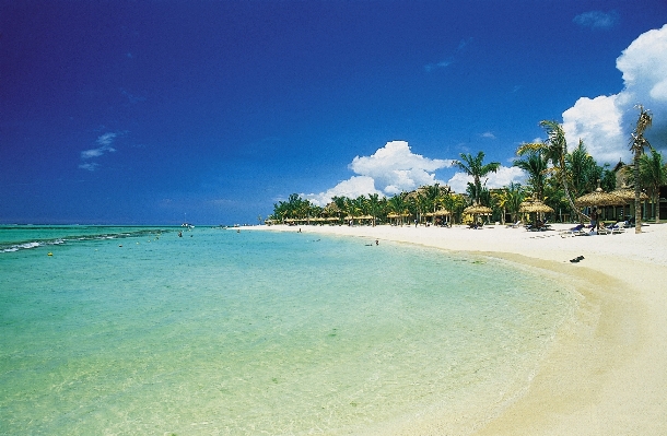 Beach sea coast sand Photo