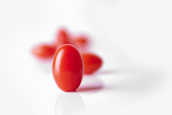 Hand plant fruit petal Photo