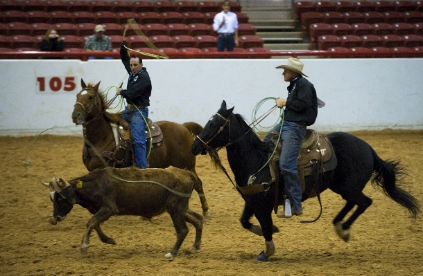 Man rope male rider Photo