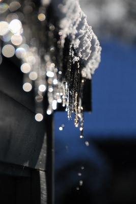 水 雪 寒い 冬 写真