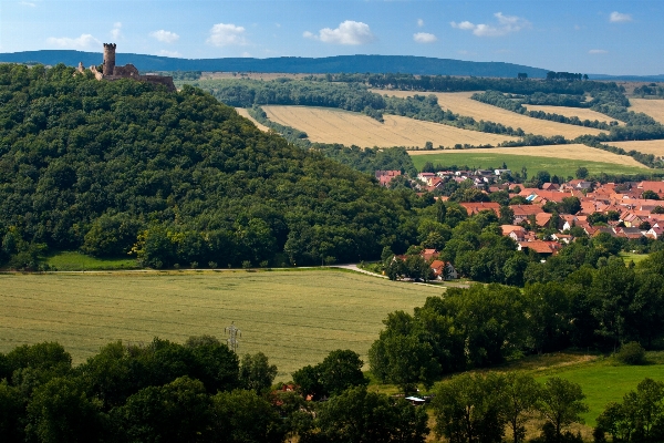 Foto Paesaggio albero natura montagna