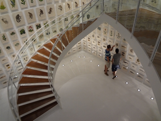 Architecture staircase ceiling stairs Photo