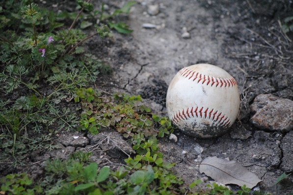 Baseball urlaub ausrüstung ausbildung Foto