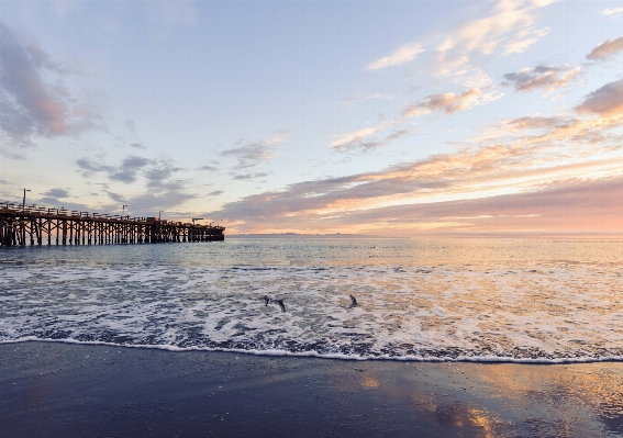 Beach landscape sea coast Photo