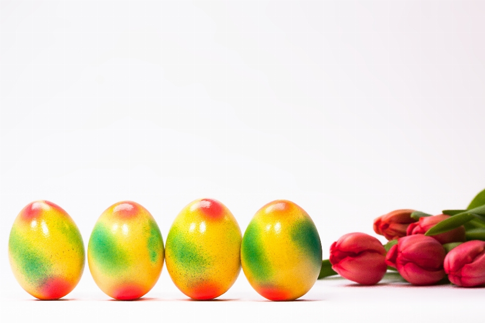 Fruit flower tulip food