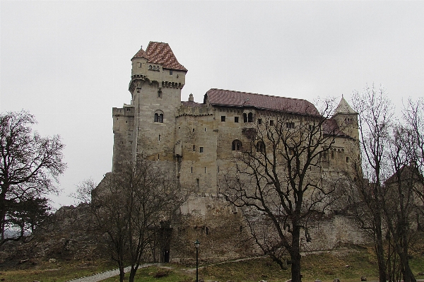 Building chateau tower castle Photo