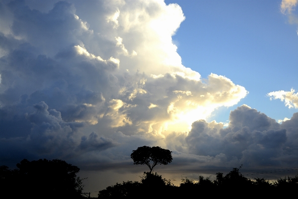 Nature horizon cloud sky Photo