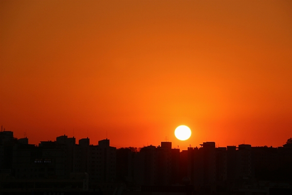 海 地平線 空 太陽 写真