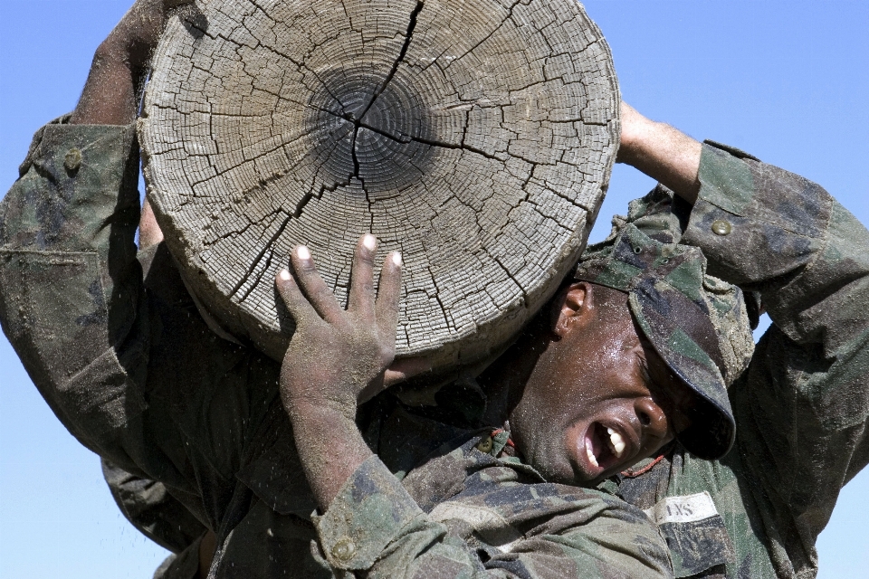 Albero gruppo monumento militare