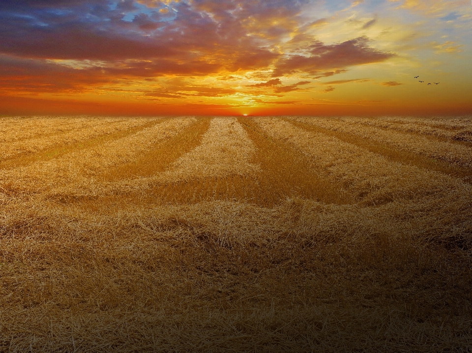 Landscape nature sand horizon