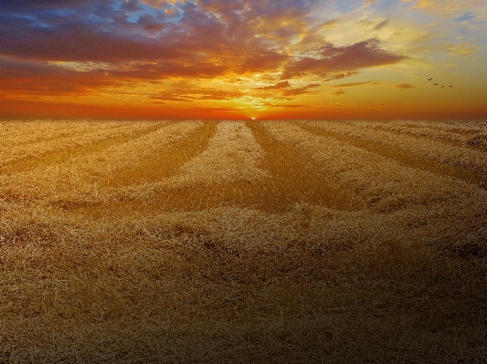 Landscape nature sand horizon Photo