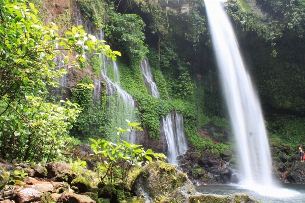 Water forest waterfall view Photo