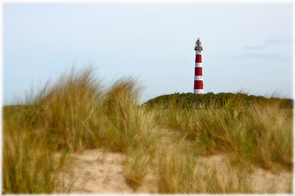 Beach sea coast water Photo