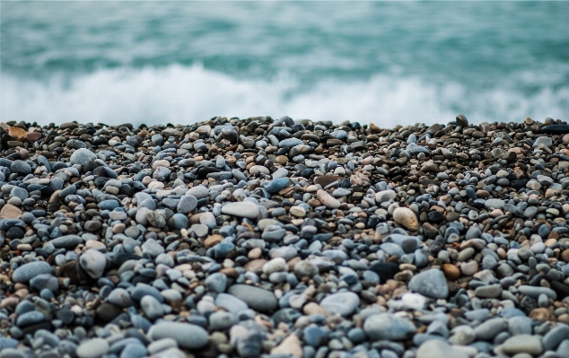 Beach sea coast sand Photo