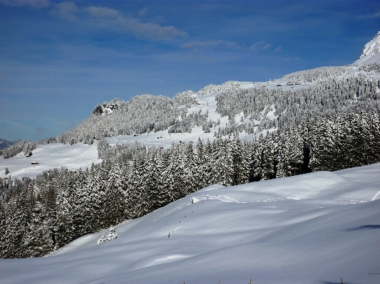 Photo Paysage nature montagne neige