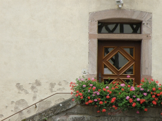 House flower window wall Photo