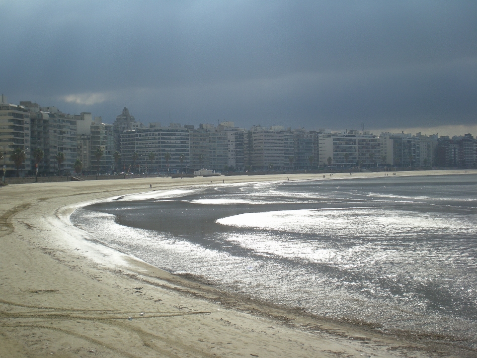 Beach sea coast horizon