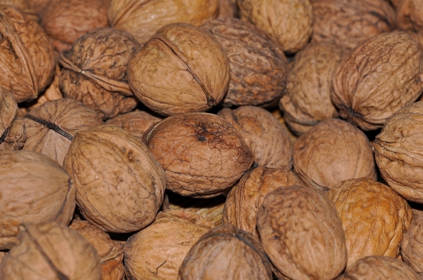 Foto Makanan bahan
 menghasilkan kacang