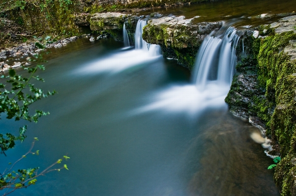 Landscape tree water nature Photo