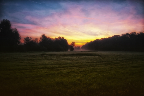 Landscape nature forest horizon Photo