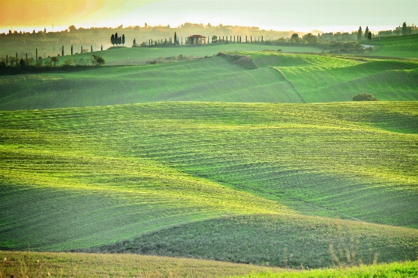 Landscape grass structure field Photo