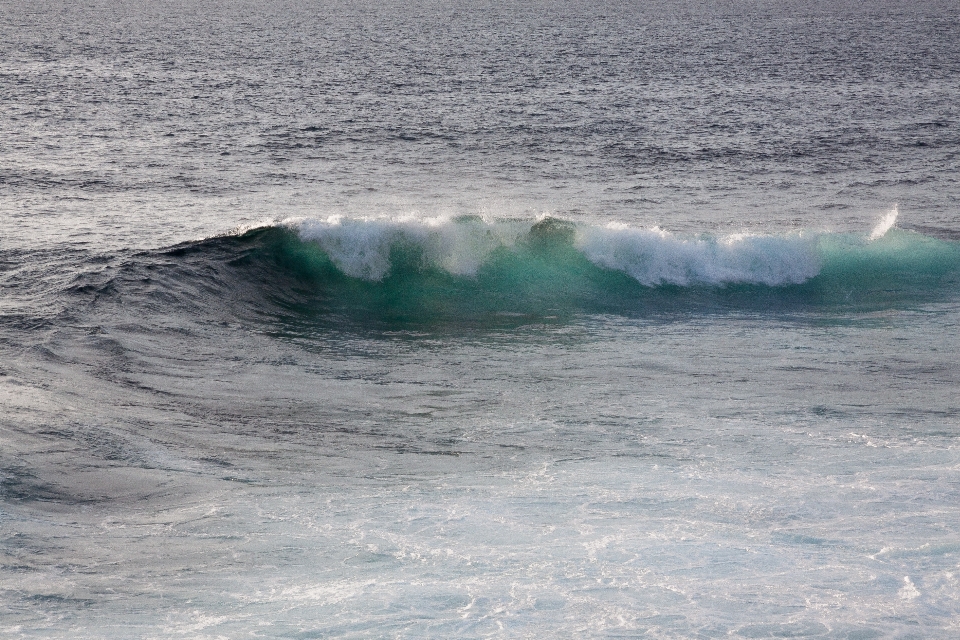 Beach sea coast water