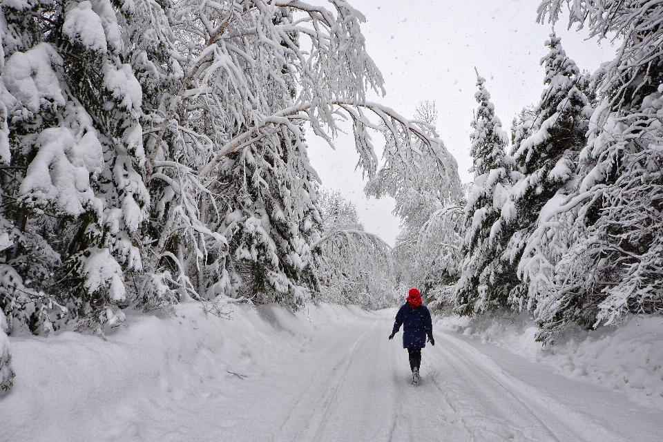 Nature neige hiver femme