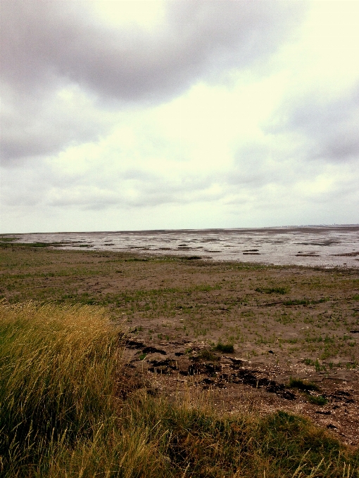 ビーチ 風景 海 海岸