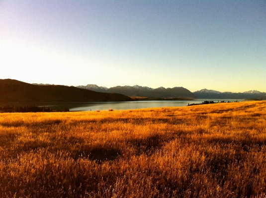 Landscape nature grass outdoor Photo