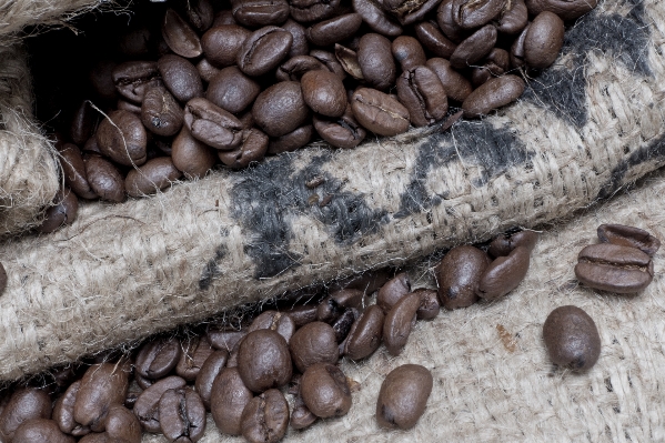 コーヒー 木 香り 食べ物 写真