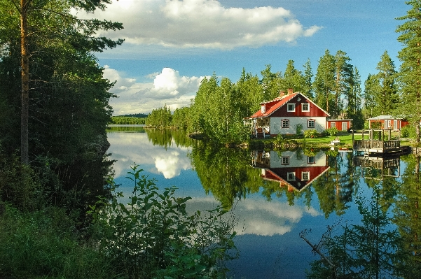 Photo Paysage arbre eau nature