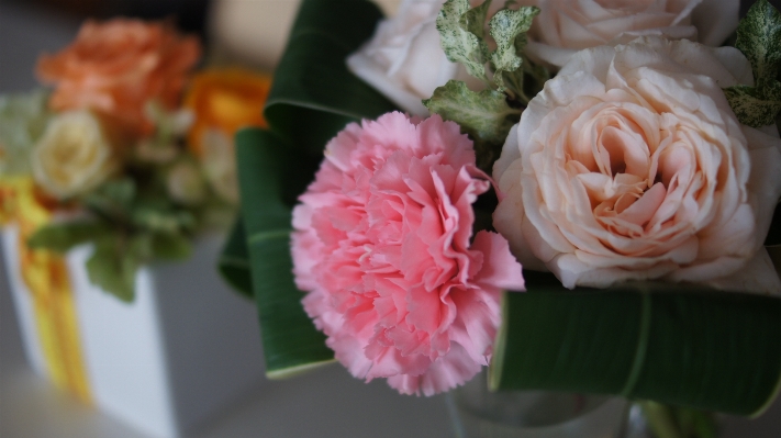 Plant flower petal bouquet Photo