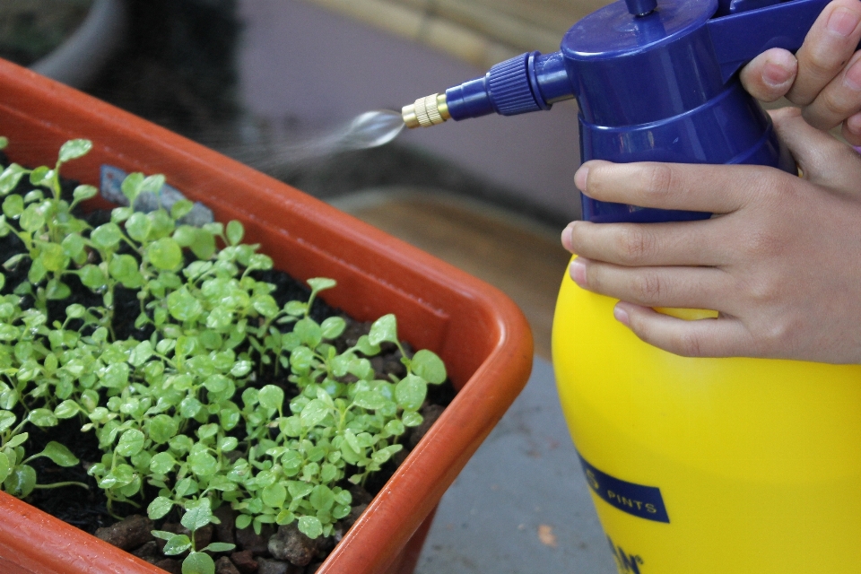 Usine nourriture produire vaporisateur