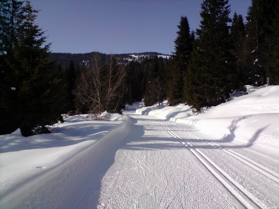 Montaña nieve invierno deporte