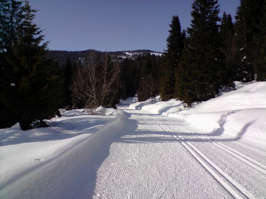 Mountain snow winter sport Photo