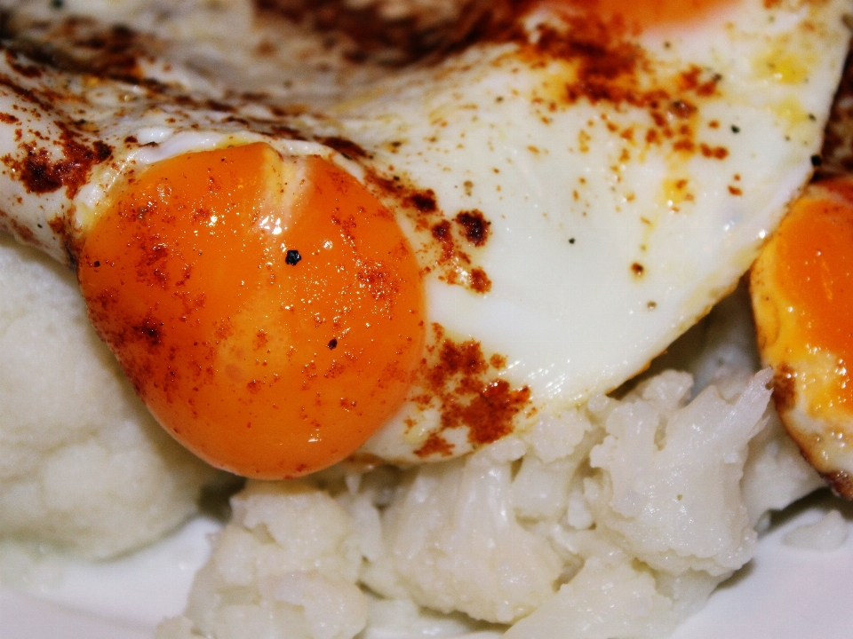 Cálido plato comida alimento