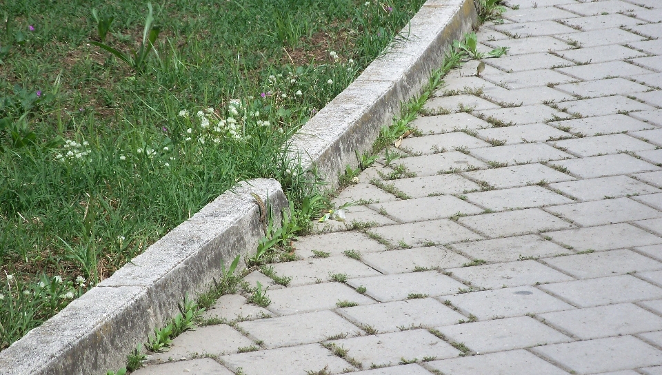 草 接地 芝生 歩道
