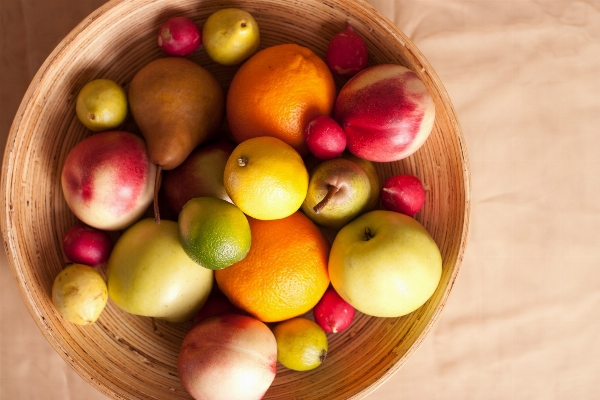 Apple nature plant fruit Photo