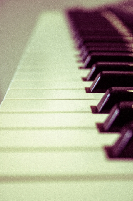 Música teclado tecnología blanco