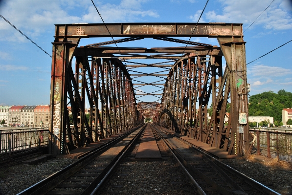 Tree sky track railway Photo