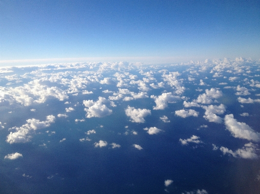 Horizon wing cloud sky Photo