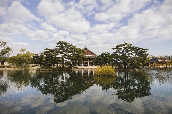 Tree water architecture structure Photo