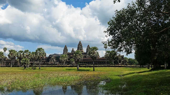 Foto Lanskap pohon bunga istana
