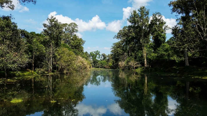 Foto Paisaje árbol agua naturaleza